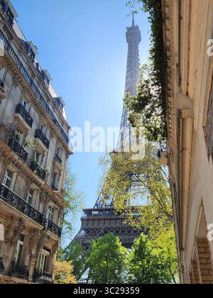 torre eiffel da rue de l'universite Foto Stock