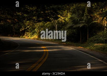 Strada curva attraverso la foresta tropicale in Brasile Foto Stock