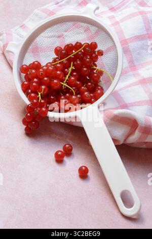 Ribes rosso nel setaccio da cucina, Ribes rubrum Foto Stock