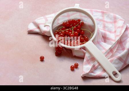 Ribes rosso nel setaccio da cucina, Ribes rubrum Foto Stock