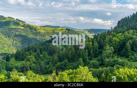 Idilliaca impressione intorno a Schönau nella Foresta Nera, una città nel distretto di Lörrach nel Baden-Württemberg, in Germania Foto Stock