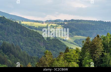 Idilliaca impressione intorno a Schönau nella Foresta Nera, una città nel distretto di Lörrach nel Baden-Württemberg, in Germania Foto Stock