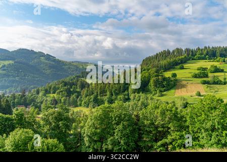 Idilliaca impressione intorno a Schönau nella Foresta Nera, una città nel distretto di Lörrach nel Baden-Württemberg, in Germania Foto Stock