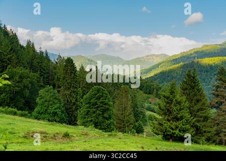 Idilliaca impressione intorno a Schönau nella Foresta Nera, una città nel distretto di Lörrach nel Baden-Württemberg, in Germania Foto Stock