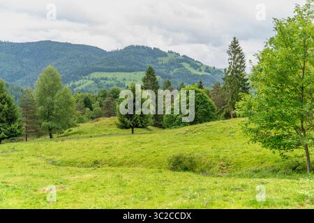 Idilliaca impressione intorno a Schönau nella Foresta Nera, una città nel distretto di Lörrach nel Baden-Württemberg, in Germania Foto Stock