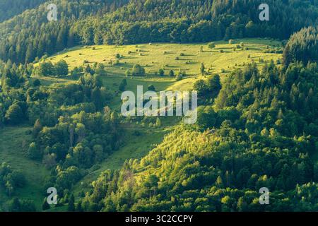 Idilliaca impressione intorno a Schönau nella Foresta Nera, una città nel distretto di Lörrach nel Baden-Württemberg, in Germania Foto Stock
