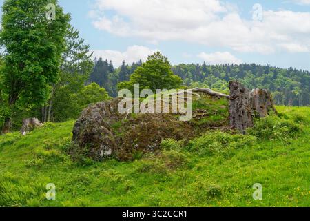 Idilliaca impressione intorno a Schönau nella Foresta Nera, una città nel distretto di Lörrach nel Baden-Württemberg, in Germania Foto Stock