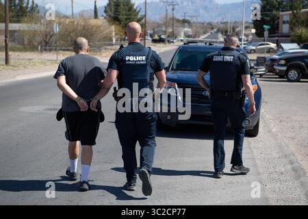 5 marzo 2019 - Las Cruces, NEW MEXICO, Stati Uniti d'America - Marshal degli Stati Uniti, agenti federali, statali e locali delle forze dell'ordine ammanettano e arrestano un latitante 5 marzo 2019 a Las Cruces, New Mexico. La massiccia operazione chiamata Triple Beam ha portato all'arresto di 154 fuggitivi provenienti da tutta la contea di Dona Ana. (Immagine di credito: © Shane T. McCoy via ZUMA Wire) Foto Stock