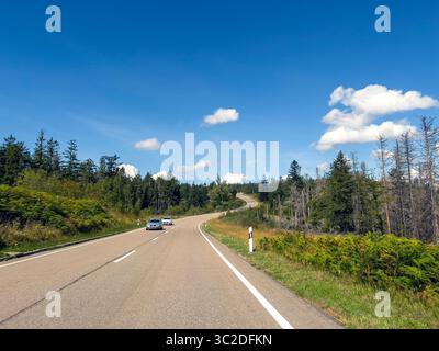 La strada che attraversa la Foresta Nera a Baden Wuertenberg. Germania. Foto Stock