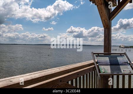 Dümmer, Deutschland 09. Juli 2025: IM Bild: Diese umfassende Aufnahme präsentiert den weiten Panoramablick über den Dümmer SEE in Niedersachsen, aufgenommen von einem Aussichtsturm oder einer erhöhten Beobachtungsplattform nahe des Olgahafens. Im Bildvordergrund sind Teile der markanten Holzkonstruktion des Turms sowie eine informativo Panoramatafel mit der Aufschrift Dümmer Panorama sichtbar, Die den Blick kontextualisiert. Die ausgedehnte Wasserfläche des sees erstreckt sich unter einem strahlend blauen Himmel, gesäumt von beeindruckenden Weißen Wolken. AM fernen Horizont zeigt sich die flac Foto Stock