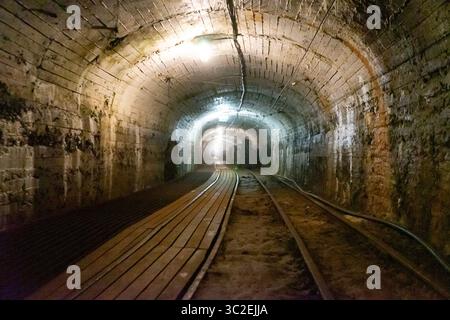 binari ferroviari che conducono a un tunnel poco illuminato con una luce alla fine, creando una scena misteriosa e suggestiva. Foto Stock