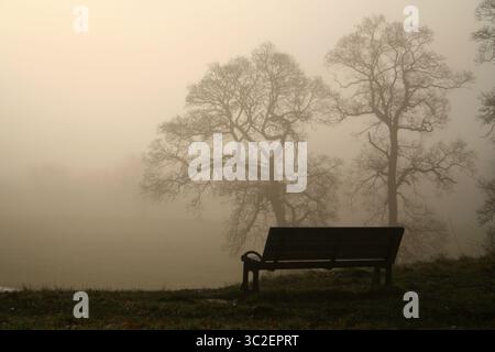 nebbia nel rickerby park carlisle cumbria inghilterra Foto Stock