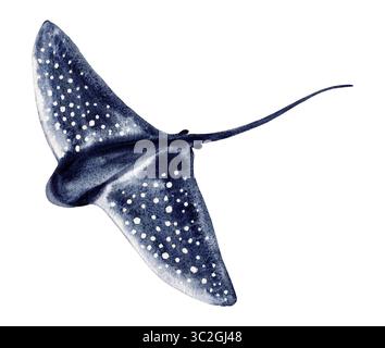 pesce stingray blu con macchie. Disegnato a mano con acquerello e trama. per il design di ristoranti di pesce Foto Stock