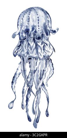 indaco blu medusa con macchie. Disegnato a mano con acquerello e trama. per il ristorante di pesce Foto Stock