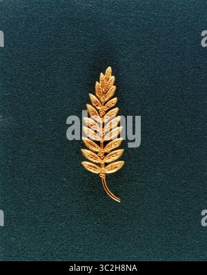 10 luglio 1969 - Kennedy Space Center, Florida, Stati Uniti - questa foto mostra la replica dorata di un ramo d'oliva, il simbolo tradizionale della pace, che è stato lasciato sulla superficie lunare dai membri dell'equipaggio dell'Apollo 11. L'astronauta Neil A. Armstrong, comandante, era incaricato di posizionare la piccola replica (meno di mezzo metro di lunghezza) sulla luna. Il gesto rappresenta un nuovo desiderio di pace per tutta l'umanità. (Immagine di credito: © NASA/ZUMA Wire/ZUMAPRESS.com) Foto Stock