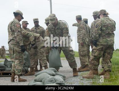 Luglio 12, 2019, New Orleans, Louisiana, Stati Uniti d'America: Esercito Nazionale soldati di guardia del 2225 multi-ruolo società Ponte riempire sacchi di sabbia a Marina facendo il lavoro di preparazione come città sul Golfo del Messico a prepararsi per la tempesta tropicale Barry per fare approdo. Con il Fiume Mississippi di acqua al livello più alto di tutti i tempi e di una formazione di tempesta nel Golfo del Messico che si prevede di fare approdo sulla Louisiana e Texas coste, sono in molti a temere che argini avrà esito negativo e che New Orleans sarà nuovamente inondati così male come è stato nel 2004 conseguenze dell'uragano Katrina. (Credito Immagine: © Matthew Hatcher/SOPA immagini via Z Foto Stock