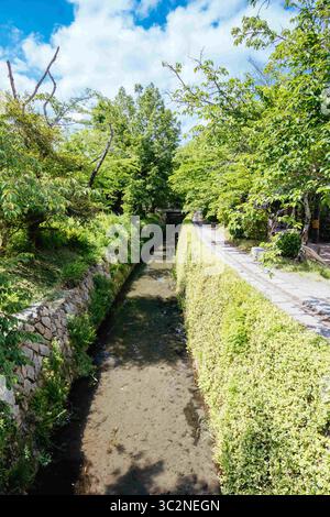 17 maggio 2019 - paesaggio panoramico in primavera lungo la famosa passeggiata dei filosofi. The Path è un famoso sentiero pedonale nel quartiere di Higashiyama, Kyoto, Giappone (Credit Image: © Chris Putnam/ZUMA Wire) Foto Stock