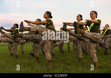 11 luglio 2019 - USA - le reclute con Papa Company, il 4° Battaglione di addestramento reclute conducono tratti di riscaldamento per prepararsi al test di fitness di combattimento l'11 luglio 2019 al Marine Corps Recruit Depot Parris Island. (Immagine di credito: © U.S. Marines/ZUMA Wire/ZUMAPRESS.com) Foto Stock
