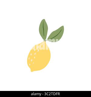 illustrazione vettoriale del limone fresco grafica vettoriale del limone Illustrazione Vettoriale