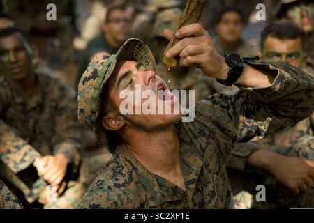 4 agosto 2019 - Banyuwangi, Indonesia - U.S. Marine Corps Lance Cpl. Adam McWhorter con l'elemento di combattimento a terra, Marine Rotational Force, Darwin, impara come ottenere acqua dalla vegetazione durante l'addestramento di sopravvivenza nella giungla come parte della cooperazione a galla preparazione e addestramento (KARAT) a Banyuwangi, Indonesia, 4 agosto 2019. KARAT è concepito per promuovere la sicurezza regionale, mantenere e rafforzare i partenariati marittimi e migliorare l’interoperabilità tra le forze partecipanti. (Immagine di credito: © US Marine S/ZUMA Wire/ZUMAPRESS.com) Foto Stock