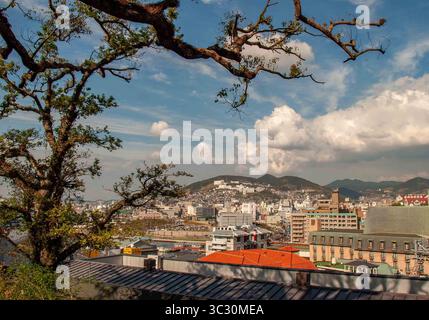 28 ottobre 2006, Nagasaki, Kyushu, Giappone: Fotografato attraverso gli alberi del Glover Garden, Nagasaki, sulla costa nord-occidentale dell'isola di Kyushu, Giappone, si trova su un grande porto naturale, con edifici sulle terrazze delle colline circostanti. Nell'agosto 1945, durante la seconda guerra mondiale, subì un bombardamento atomico americano, commemorato nel suo Atomic Bomb Museum e nel Peace Park visitato da molti turisti giapponesi e stranieri. (Immagine di credito: © Arnold Drapkin/ZUMA Wire) Foto Stock