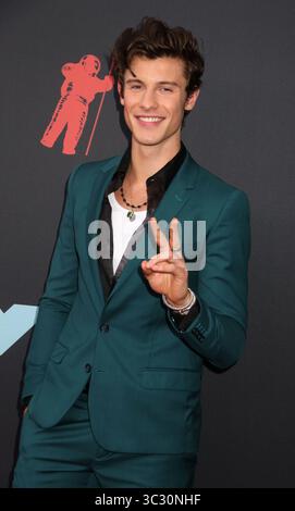 Agosto 26, 2019, Newark, New York, Stati Uniti d'America: Singer SHAWN MENDES assiste il 2019 MTV VMAs red carpet arrivi presso il Centro Prudential. (Credito Immagine: © Nancy Kaszerman/ZUMA filo) Foto Stock