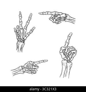 Punta la mano dello scheletro con il dito osseo, set di silhouette, schizzo in bianco e nero. Illustrazione vettoriale. La mano di un uomo morto, isolata sul bianco Illustrazione Vettoriale