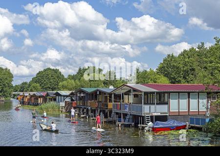 Canoa, stand-up paddle, gite in barca, case vacanza sul canale tra Mirower SEE e Zotzensee, Mirow, distretto dei laghi di Meclemburgo, Meclemburgo-W. Foto Stock