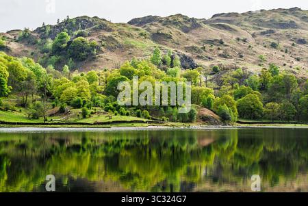 Rydal Water, Rydal, Ambleside, Lake District, Westmorland, Cumbria, Inghilterra Foto Stock