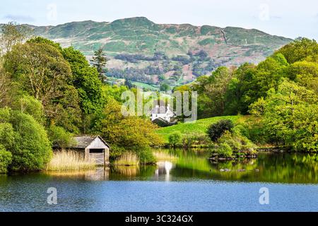Rydal Water, Rydal, Ambleside, Lake District, Westmorland, Cumbria, Inghilterra Foto Stock