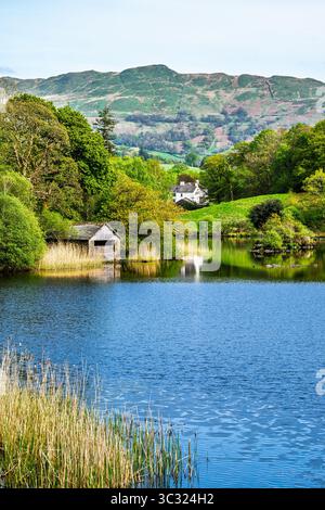 Rydal Water, Rydal, Ambleside, Lake District, Westmorland, Cumbria, Inghilterra Foto Stock