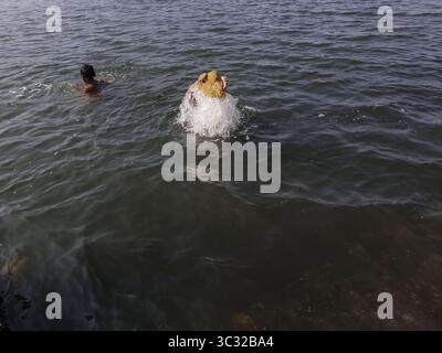 31 agosto 2019, Giacarta Nord, Giacarta, Indonesia: Giacarta, Indonesia, 31 agosto 2019: veduta dei bambini e delle condizioni del livello del mare a Muara Baru-Nord Giacarta che già sopra il suolo. Giacarta è una delle città che affondano più velocemente del mondo, secondo il World Economic Forum, a causa dell'innalzamento del livello del mare e dell'eccessiva estrazione delle acque sotterranee. (Immagine di credito: © Donal HusniZUMA Wire) Foto Stock