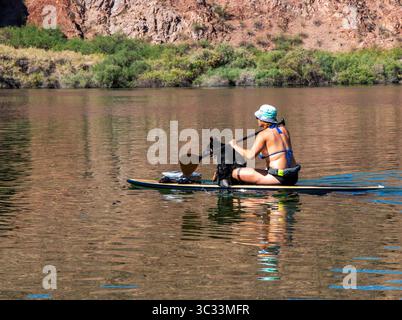 Willow Beach, Arizona, Stati Uniti d'America - 8 giugno 2025: Una donna va a paddleboard su un fiume con il suo cane durante una giornata di sole in Arizona. Foto Stock