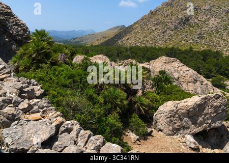 Montagne vicino a Cala Boquer, Maiorca Foto Stock
