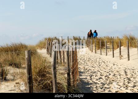 Les Mathes, quartiere di la Palmyre; Francia centro-occidentale: Passaggio costruito per proteggere le dune Foto Stock