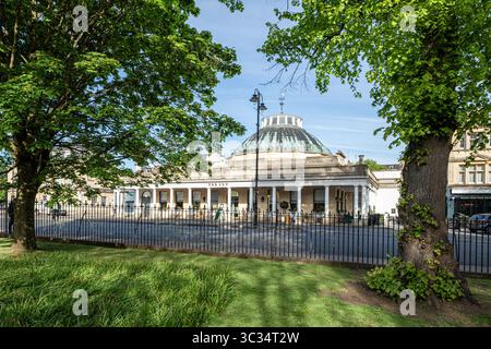 L'Ivy Montpellier Brasserie Restaurant nella Montpellier Rotunda vista dai Montpellier Gardens, Cheltenham, Gloucestershire, Inghilterra Regno Unito Foto Stock