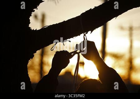 30 marzo 2021, Virginia Beach, Virginia, USA: Un uomo lega lacci da un albero per onorare Donovon Lynch durante una veglia martedì sera, 30 marzo 2021. Lynch è stato ucciso da un agente di polizia di Virginia Beach venerdì 26 marzo, al lungomare di Virginia Beach. (Immagine di credito: © TNS via cavo ZUMA) Foto Stock