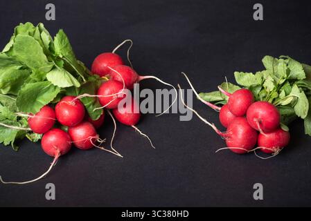 Due mazzi splendidamente disposti di rinci rossi freschi con le loro foglie verdi ben visibili, catturando l'essenza dei prodotti biologici su un bl Foto Stock