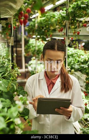 Giovane donna caucasica che indossa un camice da laboratorio in piedi in serra ispezionando le piante di fragole mentre utilizza una tavoletta digitale, circondata da vegetazione lussureggiante e attrezzature idroponiche Foto Stock