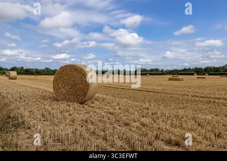 Una vista su un campo di cereali raccolti, con balle sotto un cielo blu Foto Stock