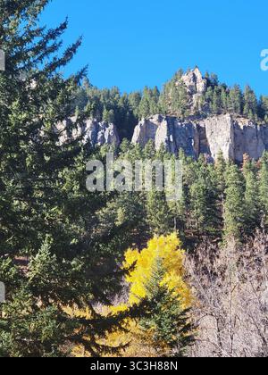 Una splendida giornata limpida a Spearfish Canyon, South Dakota, che mostra il cambiamento delle stagioni e i ruscelli di montagna. Foto Stock