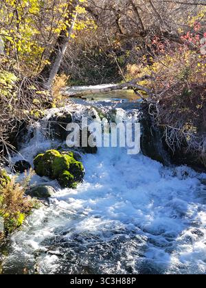 Una splendida giornata limpida a Spearfish Canyon, South Dakota, che mostra il cambiamento delle stagioni e i ruscelli di montagna. Foto Stock