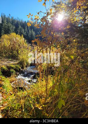Una splendida giornata limpida a Spearfish Canyon, South Dakota, che mostra il cambiamento delle stagioni e i ruscelli di montagna. Foto Stock
