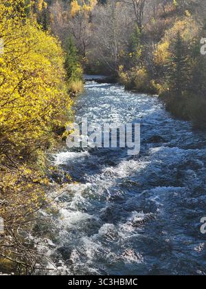 Una splendida giornata limpida a Spearfish Canyon, South Dakota, che mostra il cambiamento delle stagioni e i ruscelli di montagna. Foto Stock