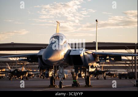 Ryan Norwood, un 335th Fighter Squadron dell'equipaggio di stanza alla Seymour Johnson Air Force base (AFB), Carolina del Nord, cond Foto Stock