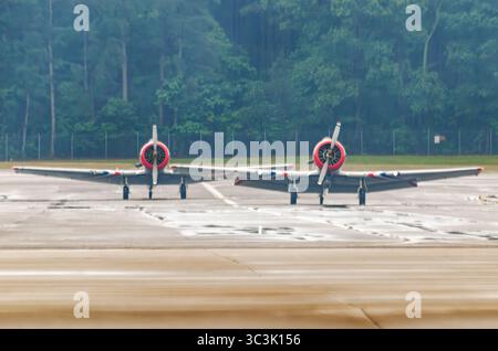 Diversi velivoli texani del Nord America T-6 siedono parcheggiati sulla rampa nella nebbia mattutina durante il Wings Over Wayne Air Show del 2023 presso la Seymour Johnson Air Force Foto Stock