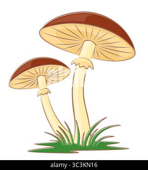 Funghi forestali con erba verde. Illustrazione Vettoriale
