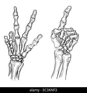 Punta la mano dello scheletro con il dito osseo, set di silhouette, schizzo in bianco e nero. Illustrazione vettoriale. La mano di un uomo morto, isolata sul bianco Illustrazione Vettoriale