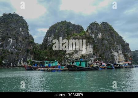 Ha Long, Vietnam, 29 novembre 2024. Case galleggianti, villaggio di pescatori di Vung Vieng, baia di ha Long, zona di Bai tu Long. Foto Stock