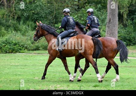 Karlsruhe, Germania. 26 luglio 2025. La polizia a cavallo è schierata nel giardino del castello. Tre uomini spararono a bottiglie con una pistola - e quindi chiamarono agenti di polizia armati. Tuttavia, nessuno è stato messo in pericolo durante la "pratica bersaglio”. Crediti: Marius Bulling/onw-images/dpa/Alamy Live News Foto Stock